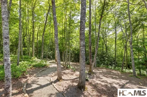 1582 New Settlers Way Glenville NC 28736