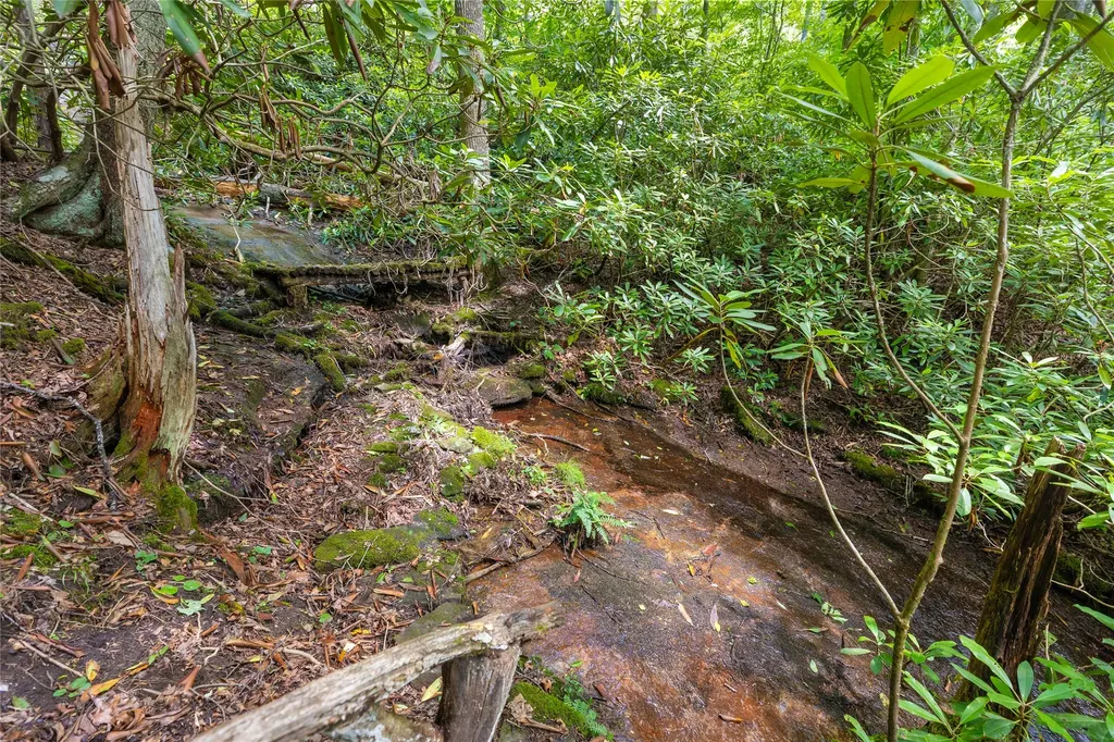 41 Birch Creek Trail Cashiers NC 28717