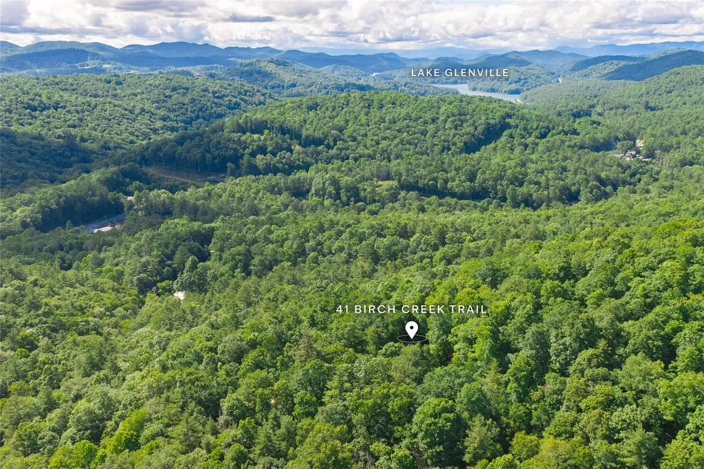 41 Birch Creek Trail Cashiers NC 28717