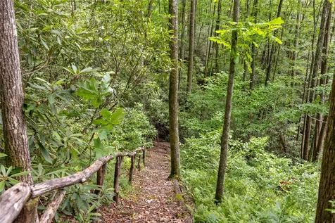 41 Birch Creek Trail Cashiers NC 28717