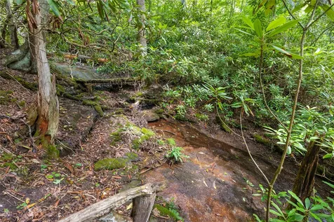 41 Birch Creek Trail Cashiers NC 28717