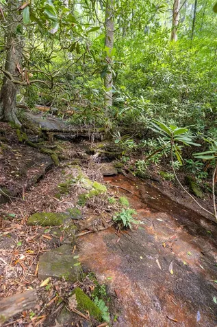 41 Birch Creek Trail Cashiers NC 28717