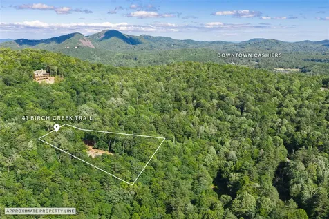 41 Birch Creek Trail Cashiers NC 28717