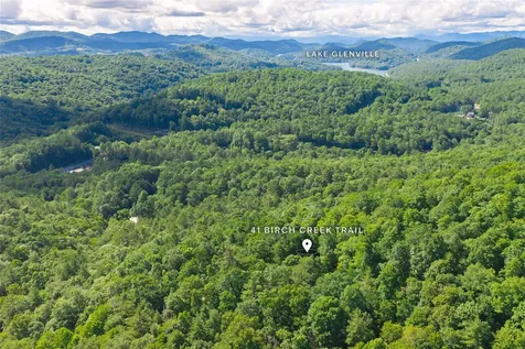 41 Birch Creek Trail Cashiers NC 28717