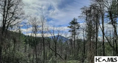 Cashiers NC 28717