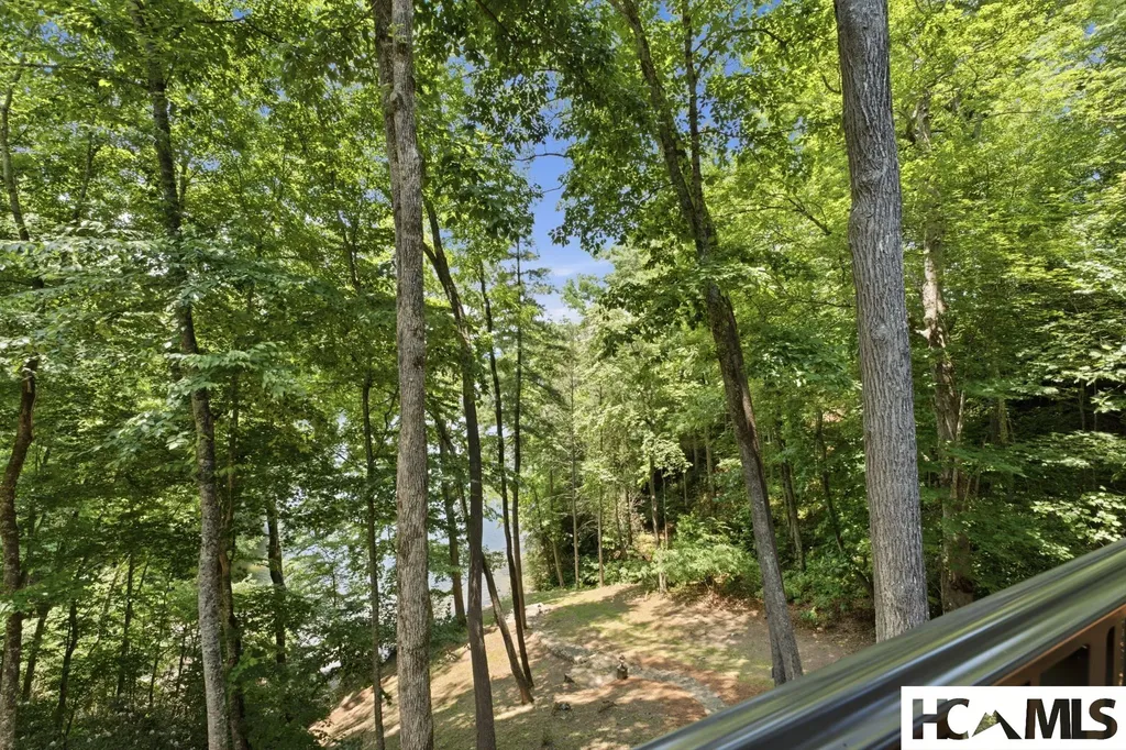 185 Songcatcher Court Tuckasegee NC 28783