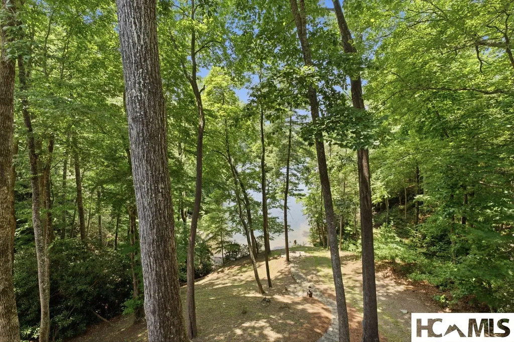 185 Songcatcher Court Tuckasegee NC 28783