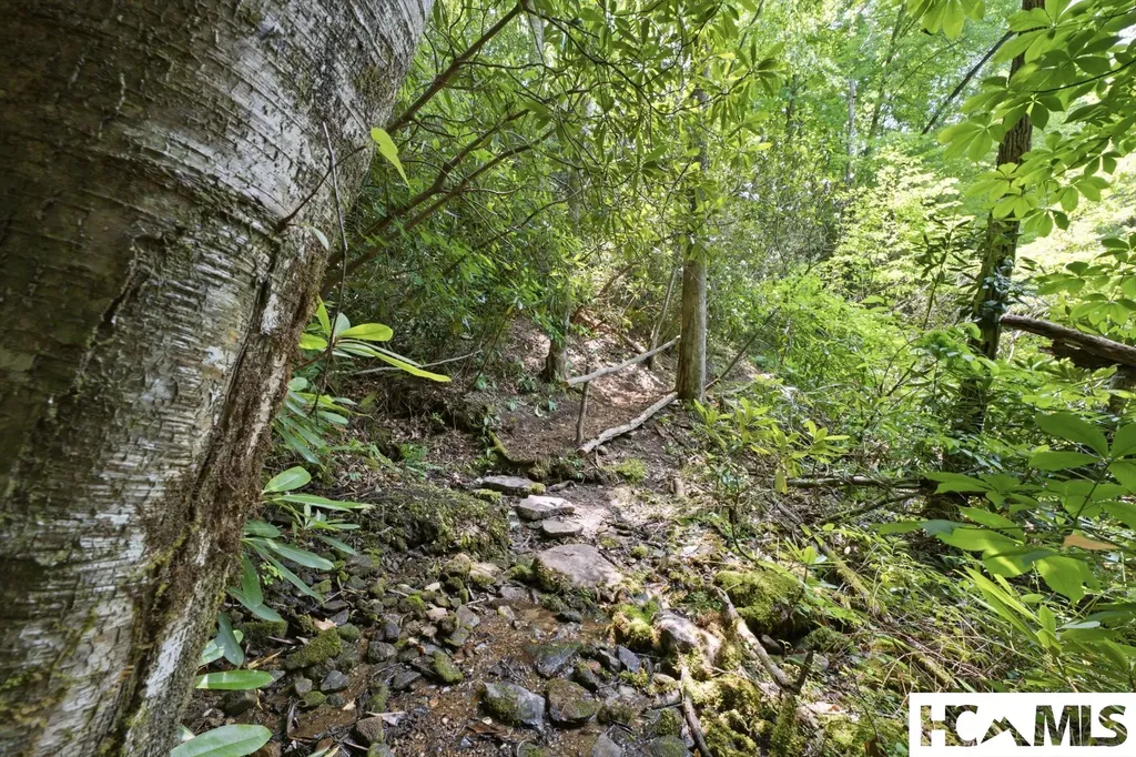 185 Songcatcher Court Tuckasegee NC 28783