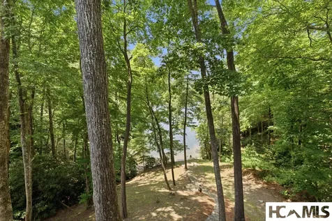 185 Songcatcher Court Tuckasegee NC 28783