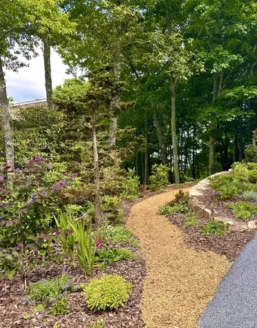 87 Tiger Paw Lane Sapphire NC 28774