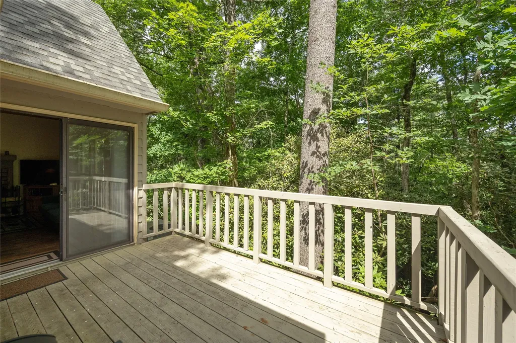 43 Kiwi Lane Sapphire NC 28774