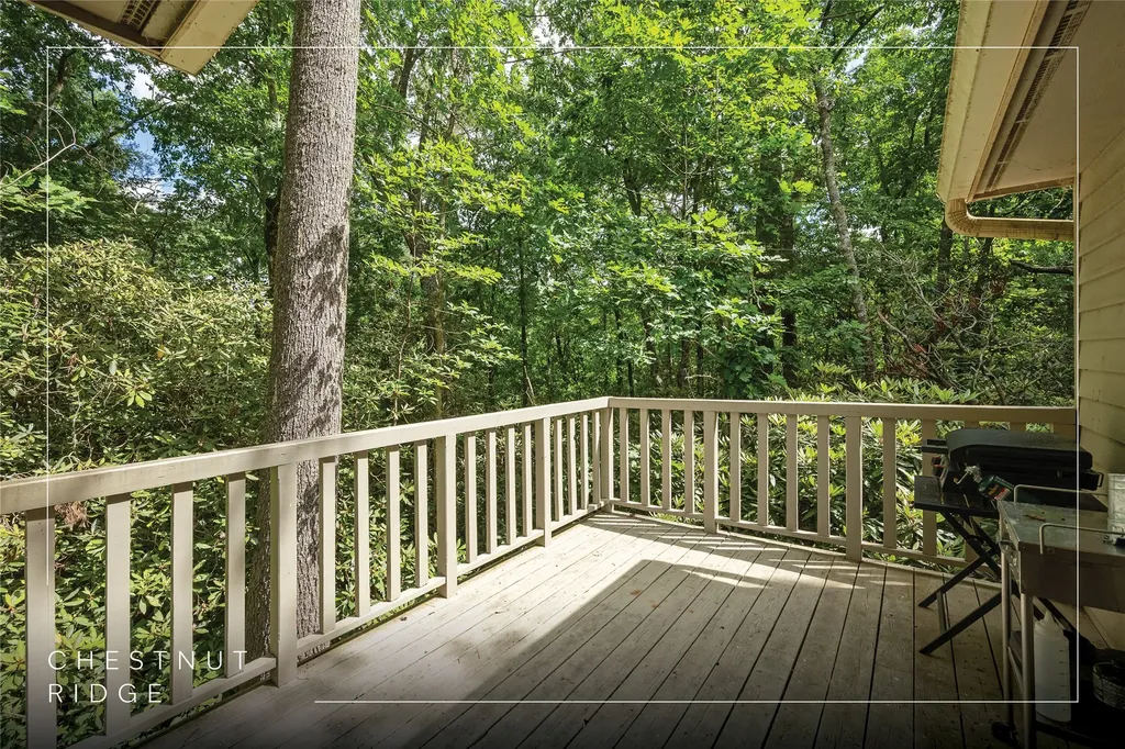 43 Kiwi Lane Sapphire NC 28774