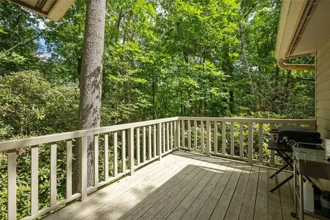 43 Kiwi Lane Sapphire NC 28774