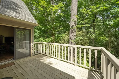 43 Kiwi Lane Sapphire NC 28774