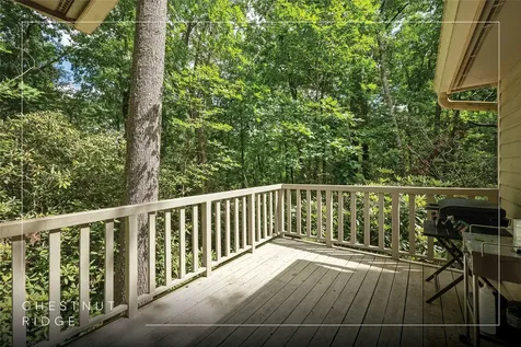 43 Kiwi Lane Sapphire NC 28774