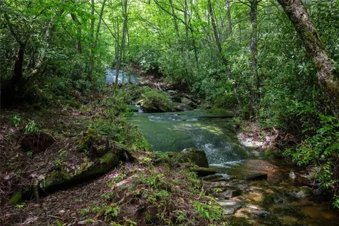 Tbd Long Ridge Road Lake Toxaway NC 28747