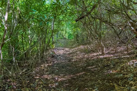 Tbd Long Ridge Road Lake Toxaway NC 28747