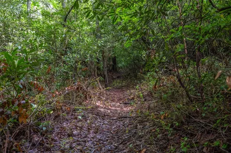 Tbd Long Ridge Road Lake Toxaway NC 28747