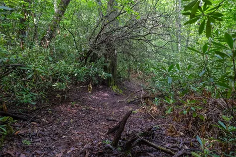 Tbd Long Ridge Road Lake Toxaway NC 28747
