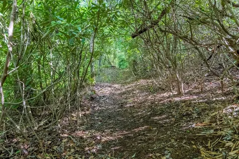 Tbd Long Ridge Road Lake Toxaway NC 28747