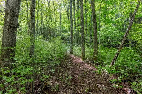 Tbd Long Ridge Road Lake Toxaway NC 28747
