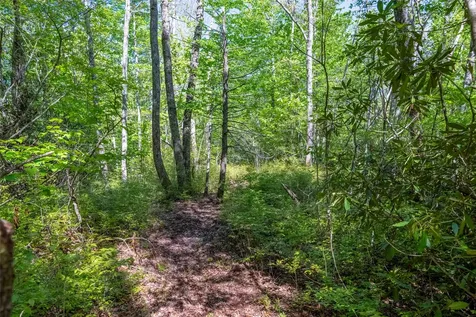 Tbd Long Ridge Road Lake Toxaway NC 28747