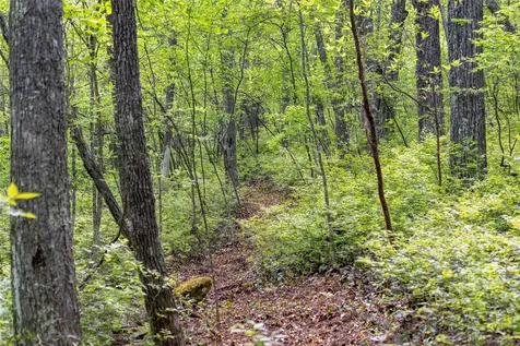 Tbd Long Ridge Road Lake Toxaway NC 28747