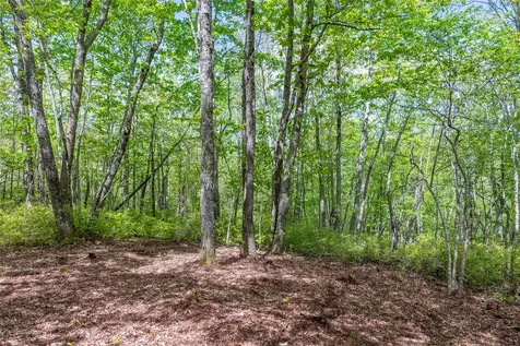 Tbd Long Ridge Road Lake Toxaway NC 28747
