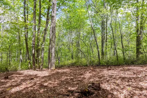 Tbd Long Ridge Road Lake Toxaway NC 28747
