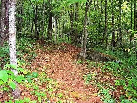 Tbd Southshore Drive Tuckasegee NC 28783