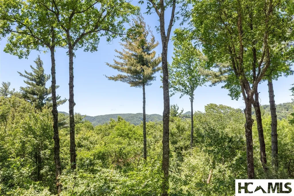 6 Rock Ledge Road Sapphire NC 28774