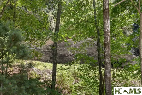 6 Rock Ledge Road Sapphire NC 28774