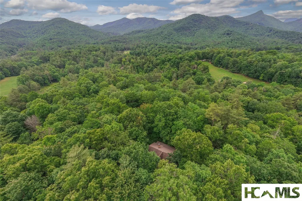 144 Ladyslipper Court Sapphire NC 28774