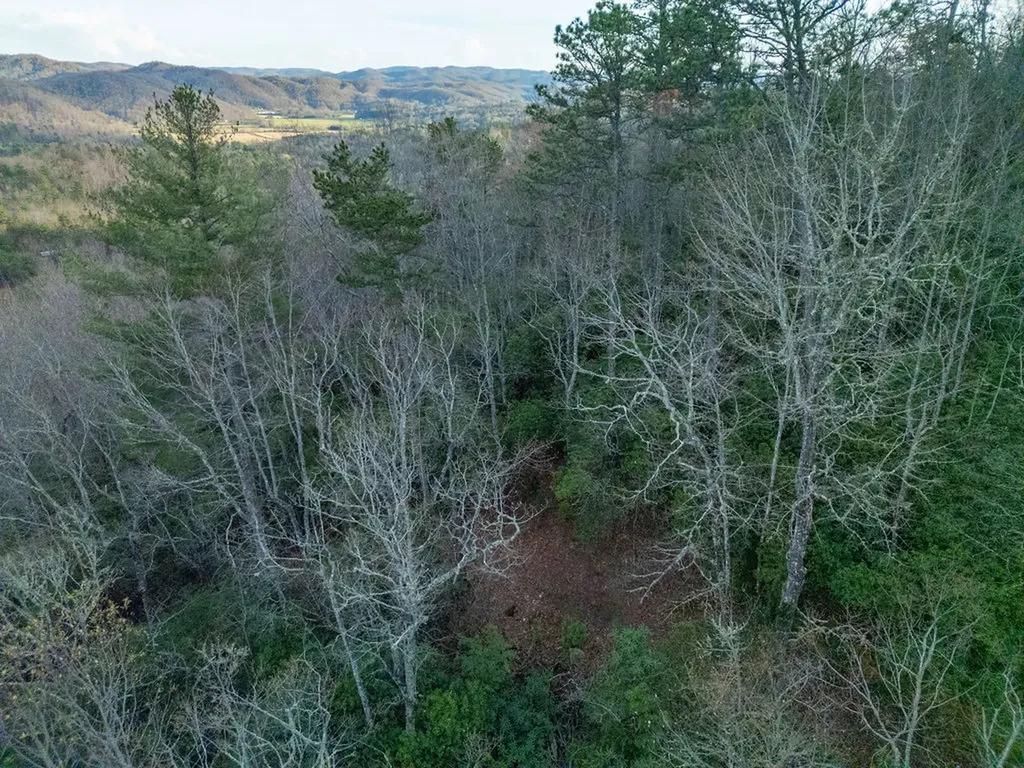 410 Forest Lake Road Brevard NC 28712
