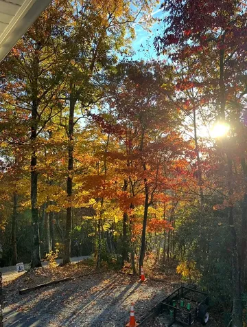410 Forest Lake Road Brevard NC 28712