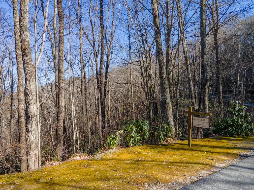 182 Broadview Drive Highlands NC 28741