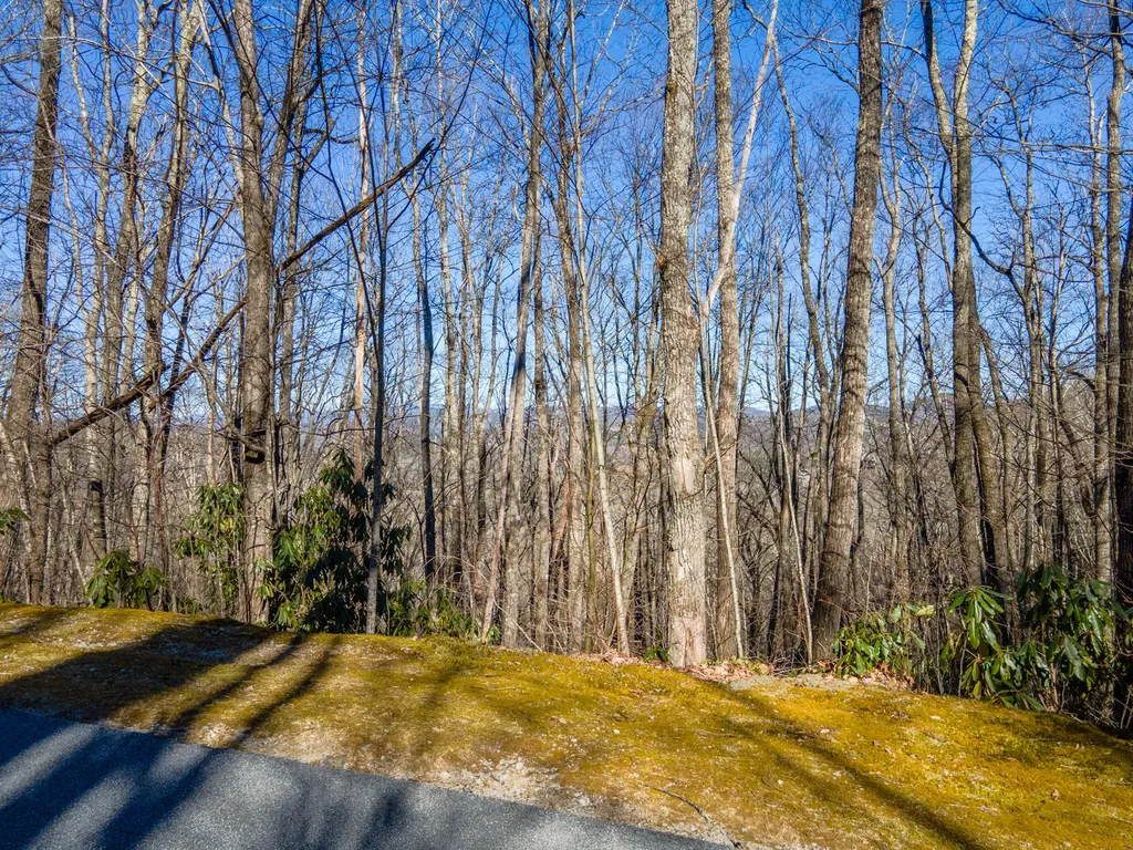 182 Broadview Drive Highlands NC 28741