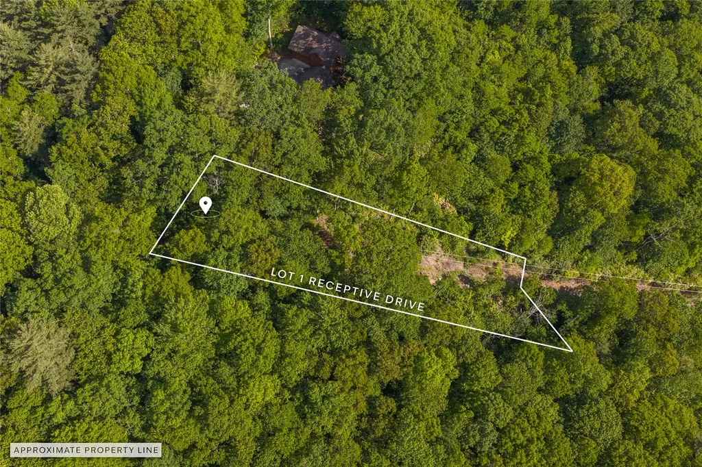 1 Receptive Drive Glenville NC 28736