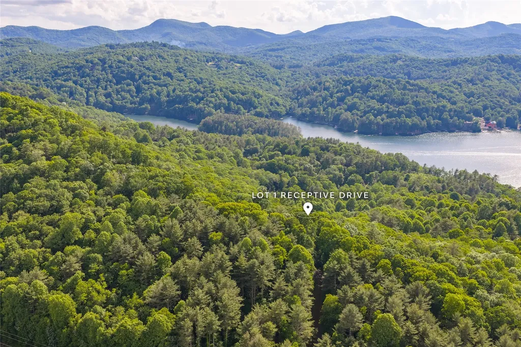 1 Receptive Drive Glenville NC 28736