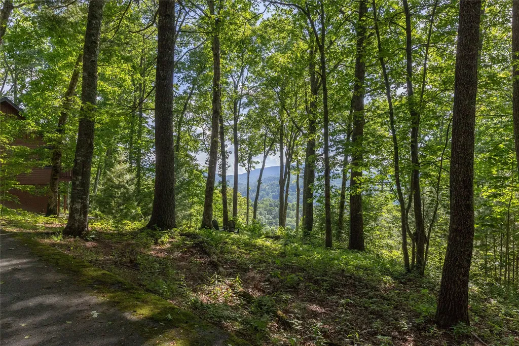 1 Receptive Drive Glenville NC 28736