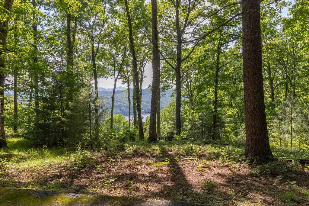 1 Receptive Drive Glenville NC 28736