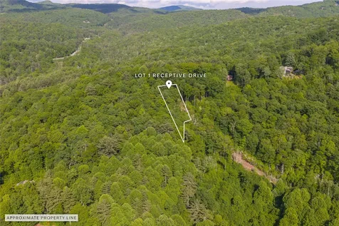 1 Receptive Drive Glenville NC 28736