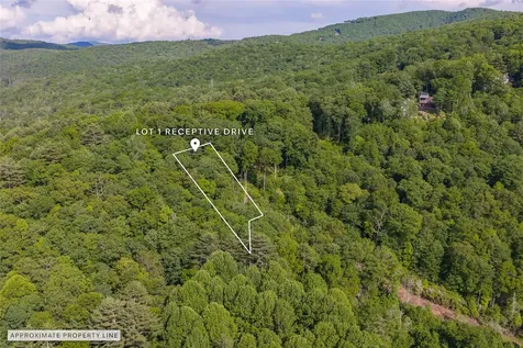 1 Receptive Drive Glenville NC 28736