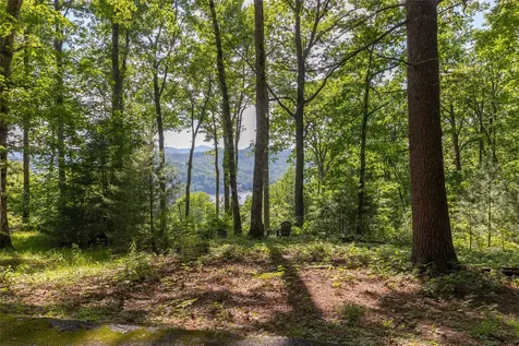 1 Receptive Drive Glenville NC 28736