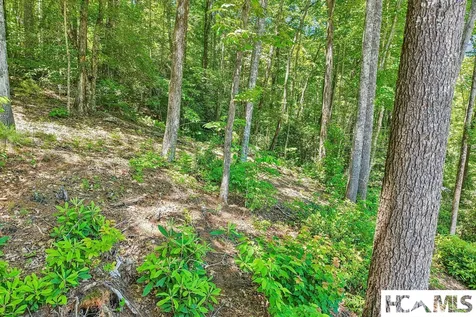 127 Short Road Cashiers NC 28717