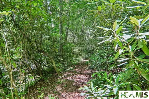 127 Short Road Cashiers NC 28717