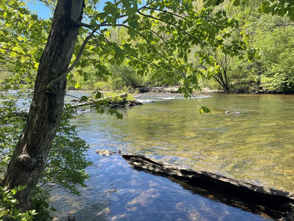 346 Riverclub Drive Cullowhee NC 28723
