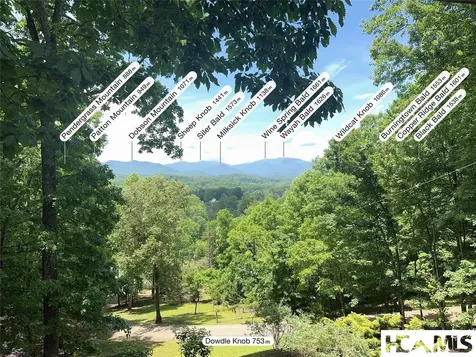 1424 Dowdle Mountain Road Franklin NC 28734