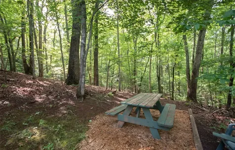 1424 Dowdle Mountain Road Franklin NC 28734