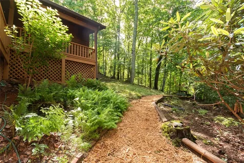 1424 Dowdle Mountain Road Franklin NC 28734